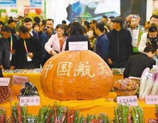 杨凌农高会上展出的太空育种成果.新华社记者 李一博摄