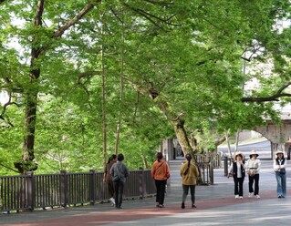 市民在公园内散步。
