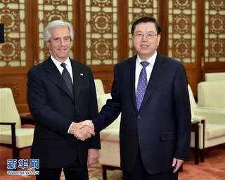 （时政）张德江会见乌拉圭总统巴斯克斯