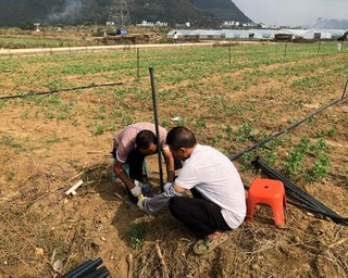 为蔬菜种植基地增设灌溉装置