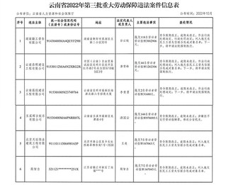 云南省2022年第三批重大劳动保障违法案件信息表