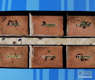 #（图片故事）（6）贵州纳雍：梅花鹿养殖托起致富梦