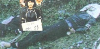 陶静  