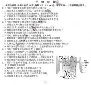 WIRELESS202007112037000046435520512.jpg