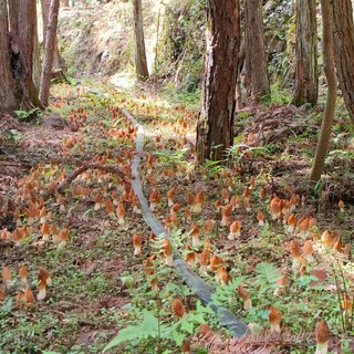 石阡：有风景的地方就有“绿色银行”。