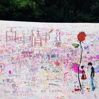 高校设"光棍节"表白墙 女生留言"等风也等你"
