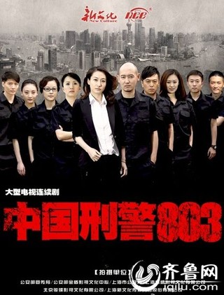 中国刑警803电视剧全集剧情介绍1-50集大结局剧情演员