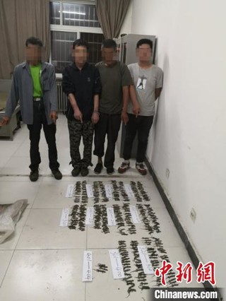 河北涿州：4名男子猎捕400余只无蹼壁虎被刑拘