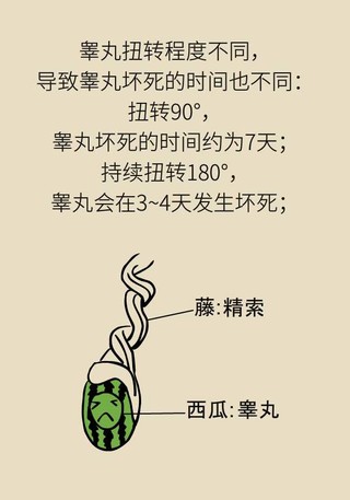 蛋疼无小事睾丸扭转的黄金抢救时间为6小时