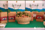【图6】图为在临沧坚果文化活动上展出的澳洲坚果。人民网-虎遵会摄