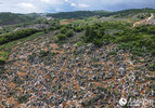 航拍庄子田小组种植的仙人掌，图中山间白石区域为仙人掌大面积种植区。人民网记者 符皓摄
