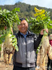 沙桥镇举办的第七届萝卜文化艺术节中，一参加拔萝卜比赛的农户展示自己的战果。人民网记者-刘怡摄