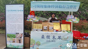 “木耳经济”已成为三十铺镇刁岗村集体经济重要来源。人民网 胡雨松摄