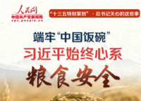 端牢"中国饭碗"习近平始终心系粮食安全