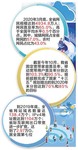 互联网飞入寻常百姓家