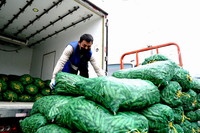 3月19日，江桥批发市场的短驳服务人员在搬运蔬菜。