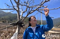 德昌县林业和草原局的林业工程师左华丽。人民网 朱虹摄