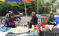 农民在路边摆上竹笋，供游客选购。绵竹市融媒体中心供图