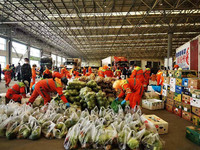 在大连，志愿者们在紧张忙碌地进行蔬菜分拣、打包。辽宁省商务厅供图