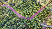 河南省洛阳市“城市绿肺”周山森林公园（无人机照片）。黄政伟摄