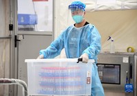 5月12日，在位于北京市顺义区北务镇的气膜核酸检测实验室，工作人员将登记『好核酸样本信息的试管送往样本制备区。