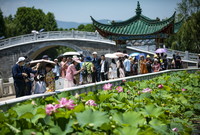 7月6日，游客来到昆明大观公园欣赏荷花。