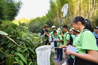 7月23日，参加活动的中小学生在武夷山国家公园大竹岚观察昆虫习性。
