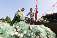 2022年7月25日，在江苏省连云港市赣榆区青口中心渔港，渔民将渔网装船。