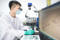 8月3日，在长江科学院实验室，科研人员对长江源区采集的藻类样本进行鉴定。