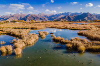 这是11月5日拍摄的拉鲁湿地景色（无人机照片）。新华社记者 周荻潇 摄