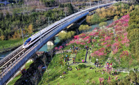 开往春天的列车，合肥车务段。中国铁路上海局集团有限公司供图