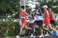 4月16日，中国选手何杰（左一）在比赛中经过武汉东湖绿道。最终，他以2小时12分35秒的成绩获得2023武汉马拉松比赛全程马拉松项目男子组冠军。新华社记者 程敏 摄