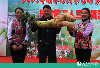 “萝卜王”拍卖会。人民网记者 刘怡摄