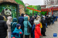 3月8日，人们在俄罗斯莫斯科动物园排队等待观看大熊猫“喀秋莎”。新华社记者 曹阳 摄