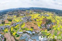 航拍贵州省福泉市陆坪镇罗坳村的如画田园。人民网记者 涂敏摄
