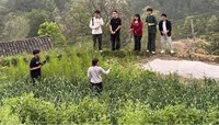 实践团观看主播爱莲拍摄视频并交流。贵州大学管理学院供图