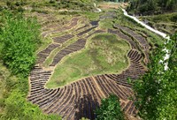 辣椒种植基地。