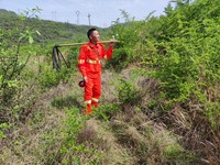 冯再华正在巡林。王芸 摄.jpg