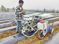 井窖打孔投苗移栽机大大提高移栽效率。