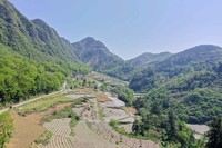 习水桑木镇山间烤烟田，绿意盎然。李文炯摄