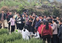 植保技术人员在田间指导村民如何加强小麦“一喷三防”技术。金莎 摄.jpg