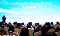 2024年度贵阳贵安知识产权发展报告发布现场。张怡茜 摄 (2).jpg