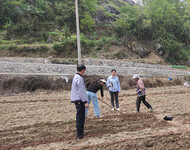 农技人员在石阡县各田间地头开展技术指导和生产服务现场。