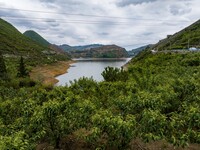 古达乡水营村夹岩水库周边樱桃采摘园 陈春志 摄 (3).jpg