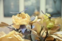 黄松琴用玉米皮编织的花朵和蜻蜓。谢慧芳摄