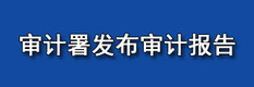 38个中央部门预算执行情况公布6月24日，审计署发布国务院关于2013年度中央预算执行和其他财政收支的审计工作报告。审计长刘家义向人大常委会作报告。