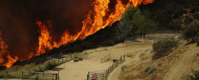 美国加州纳帕山火迅速蔓延