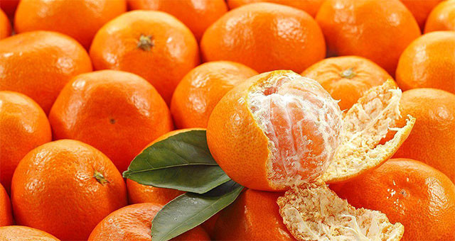橘子吃多了 真的容易“上火”嗎？