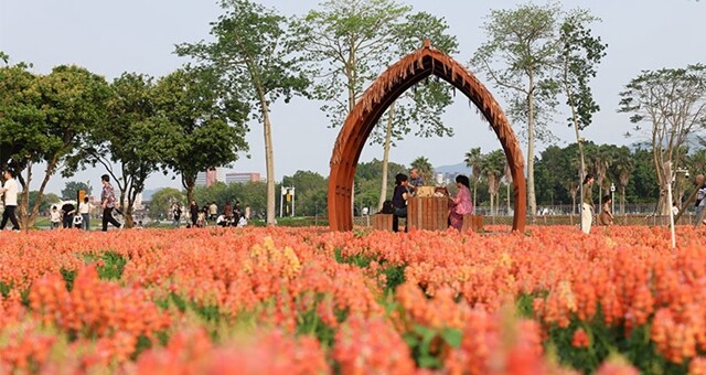 福建漳州这片“花花世界”藏不住了！