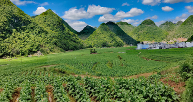 “巡山”见闻
